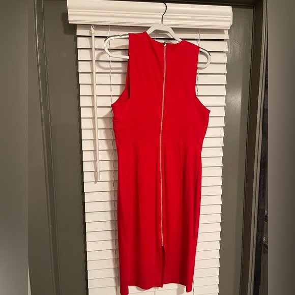 Express Dress - Picture 4 of 9